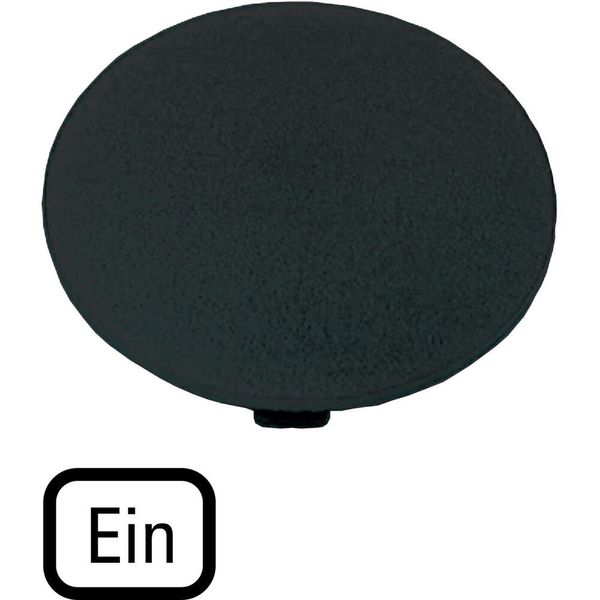 Button plate, mushroom black, ON image 2