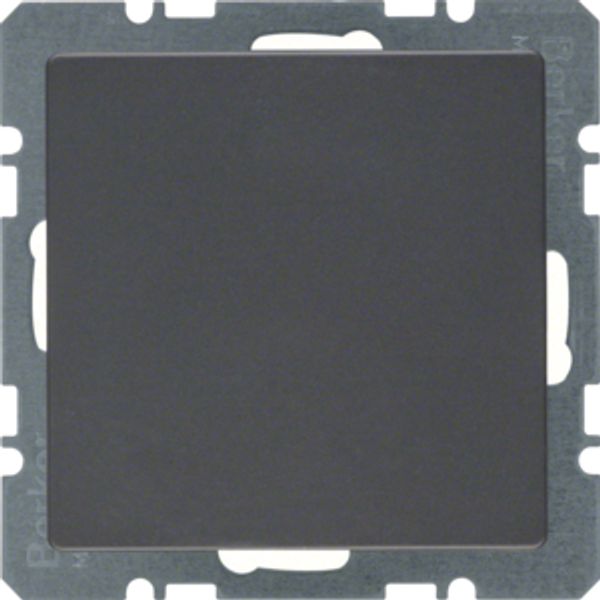 Blind plug centre plate, Q.1/Q.3, ant. velvety, lacq. image 3