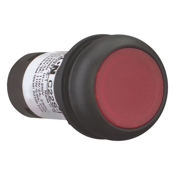 Illuminated pushbutton actuator, Flat, momentary, 1 NC, Screw connection, LED Red, red, Blank, 120 V AC, Bezel: black image 6