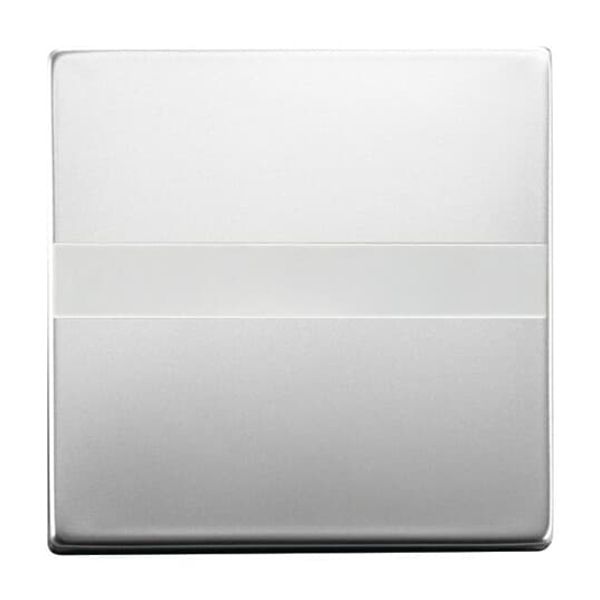 1720-866 CoverPlates (partly incl. Insert) pure stainless steel Stainless steel image 4