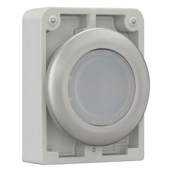 Illuminated pushbutton actuator, RMQ-Titan, Flat, momentary, White, Blank, Metal bezel image 11