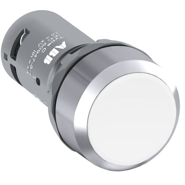 CP1-30W-01 Pushbutton image 1