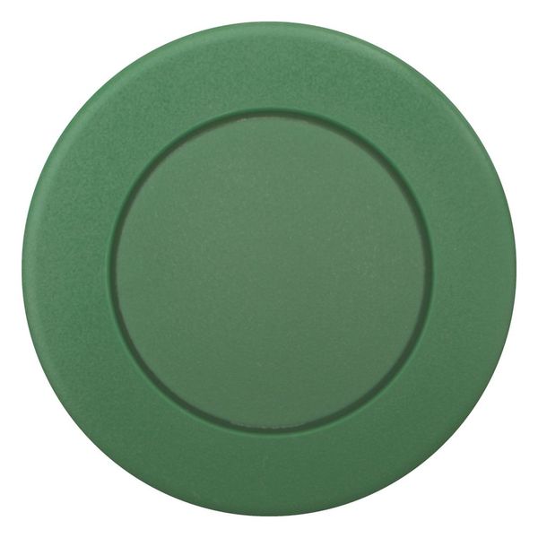 Mushroom actuator, RMQ-Titan, Mushroom, momentary, Mushroom green, green, Blank, Bezel: black image 3