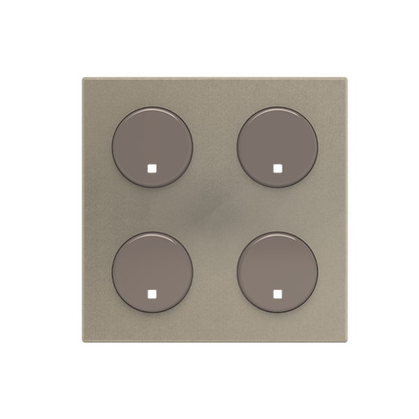 SR-4-N2CV Cover plate image 1