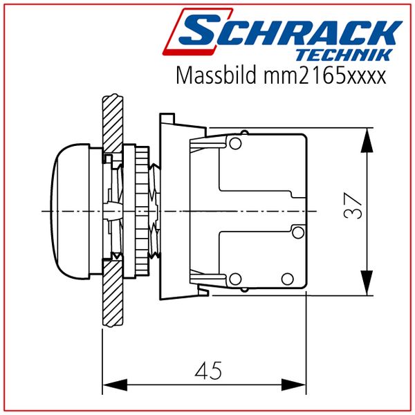 Push-button flat, spring-return, white image 2