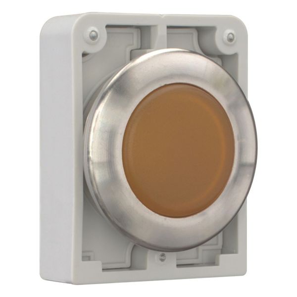 Indicator light, RMQ-Titan, flat, orange, Front ring stainless steel image 6