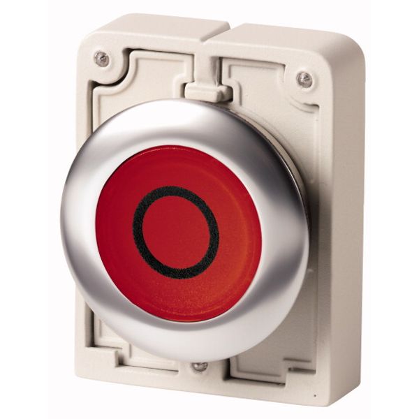 Illuminated pushbutton actuator, RMQ-Titan, flat, momentary, red, inscribed, Front ring stainless steel image 1