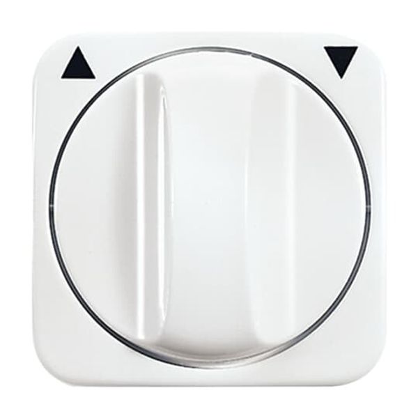 2542 DR-214 CoverPlates (partly incl. Insert) carat® Alpine white image 2