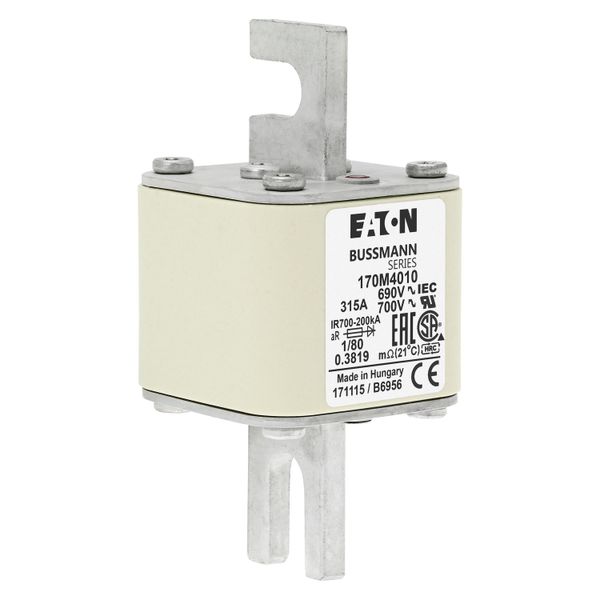 Fuse-link, high speed, 315 A, AC 690 V, DIN 1, 53 x 53 x 108 mm, aR, DIN, IEC, single indicator image 18