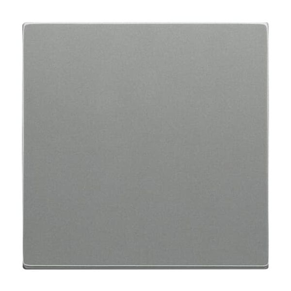1789-803 CoverPlates (partly incl. Insert) Busch-axcent®, solo® grey metallic image 3