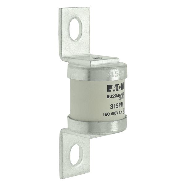 5.5KV 125E BHLE FUSE image 11