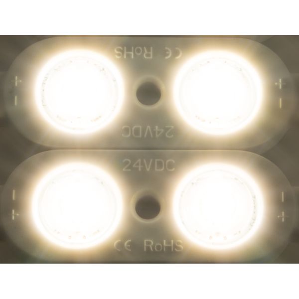 LED module ensures Twin 12 HW (Halogen white) IP65 CRI 90+ image 1