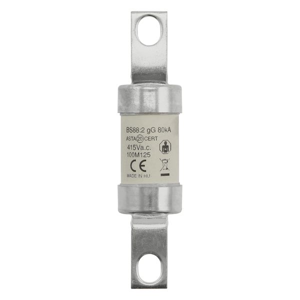 Fuse-link, LV, 100 A, AC 415 V, BS88/A4, 27 x 110 mm, gM, BS, 100M125 image 13