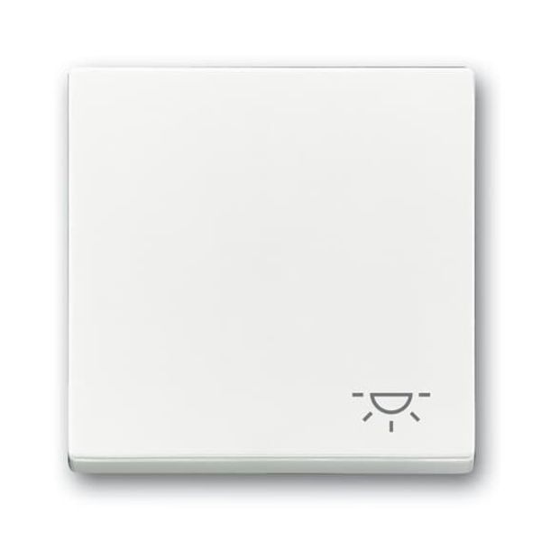 2520 LI-84-500 Mechanical Controls Symbol "light" for Switch/push button, Single rocker studio white - 63x63 image 4