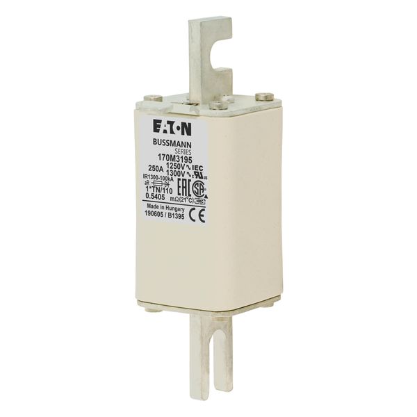 Fuse-link, high speed, 250 A, AC 1250 V, compact size 1, 45 x 58 x 138 mm, aR, DIN, IEC, type T indicator image 2