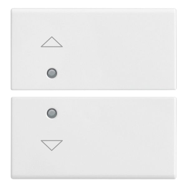 2 half buttons 2M arrows symbol white image 1