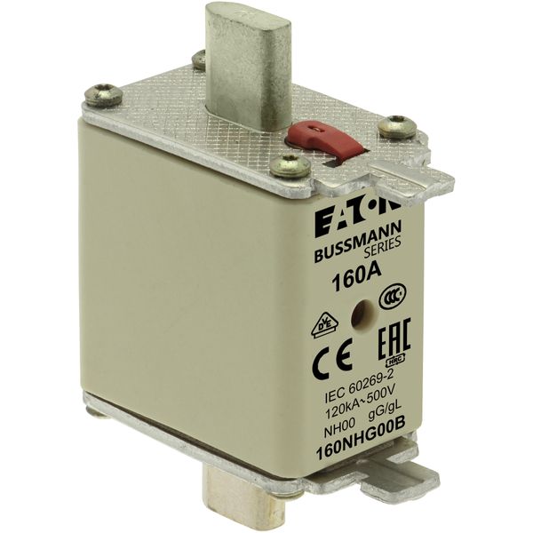 Fuse-link, LV, 160 A, AC 500 V, NH00, gL/gG, IEC, dual indicator, live gripping lugs image 14