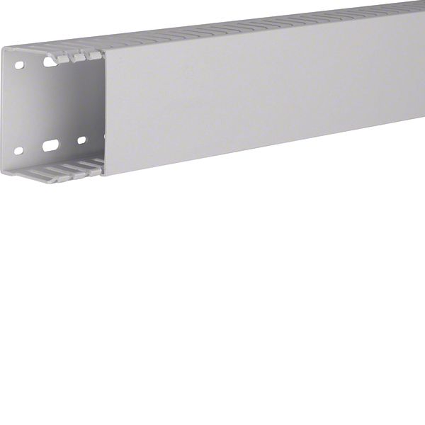 HNG 50075/0 Grey 7035 Trunking image 1