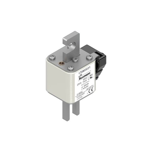 Fuse-link, high speed, 250 A, AC 690 V, compact size 1, 43 x 60 x 110 mm, aR, DIN, IEC, single indicator image 12