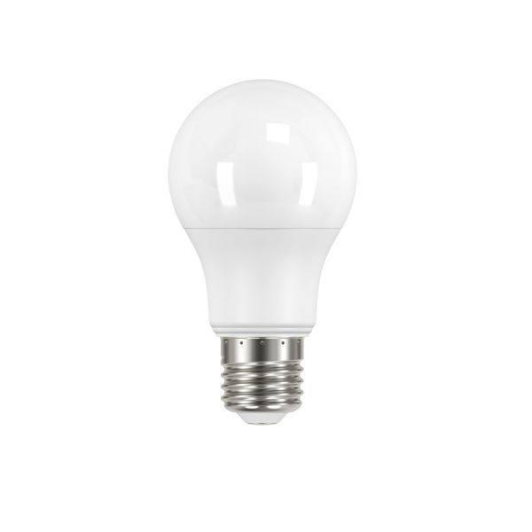 LED lamp, IQ-LED A60 9W-CW, 9W, 810lm, 6500K, E27 (27275) image 1