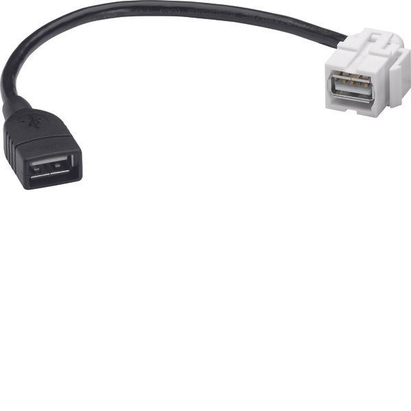 Keystone insert USB2 Type A image 1