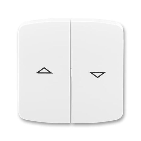 5583A-C02357 H Double socket outlet with earthing pins, shuttered, with turned upper cavity, with surge protection image 5