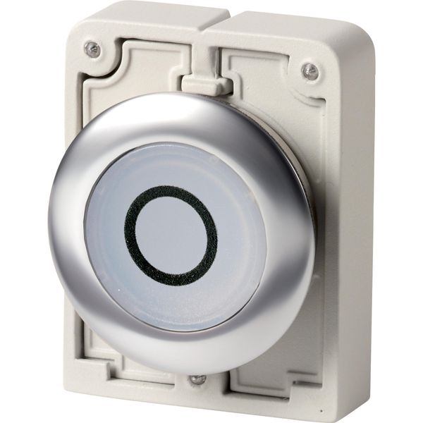 Illuminated pushbutton actuator, RMQ-Titan, flat, maintained, White, inscribed 0, Front ring stainless steel image 3