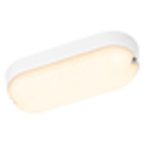 OVALIS LED 5W 3000K 500lm, opal IP65 white image 2