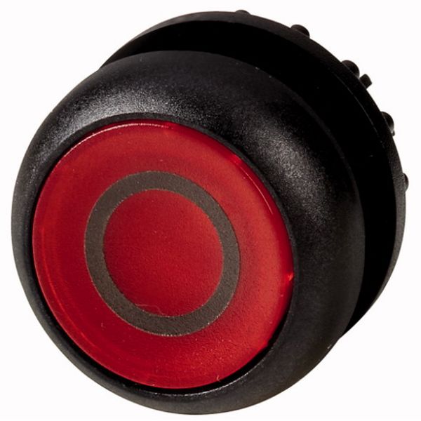 Illuminated pushbutton actuator, RMQ-Titan, Flush, momentary, red, inscribed, Bezel: black image 1