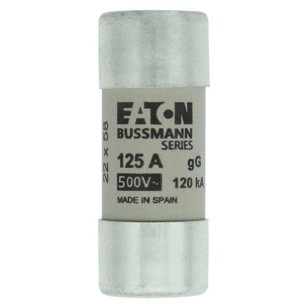 Fuse-link, LV, 125 A, AC 400 V, 22 x 58 mm, gL/gG, IEC image 6