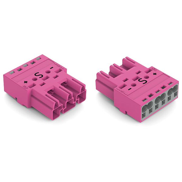 Plug 3-pole Cod. B pink image 2