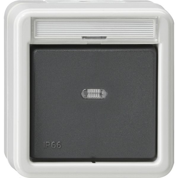 rocker sw. CB 2-p in.sp. WD surface-mounted grey image 1