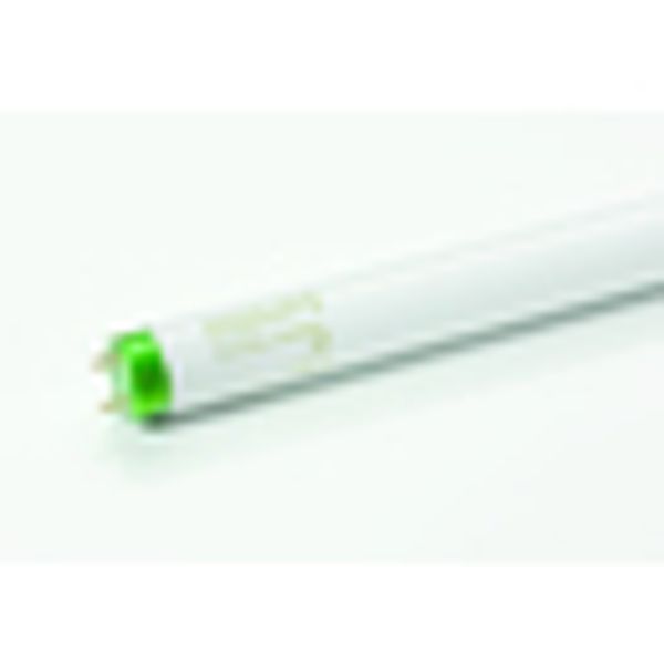 TL-D Master Eco 16W 840 neutralwhite image 3