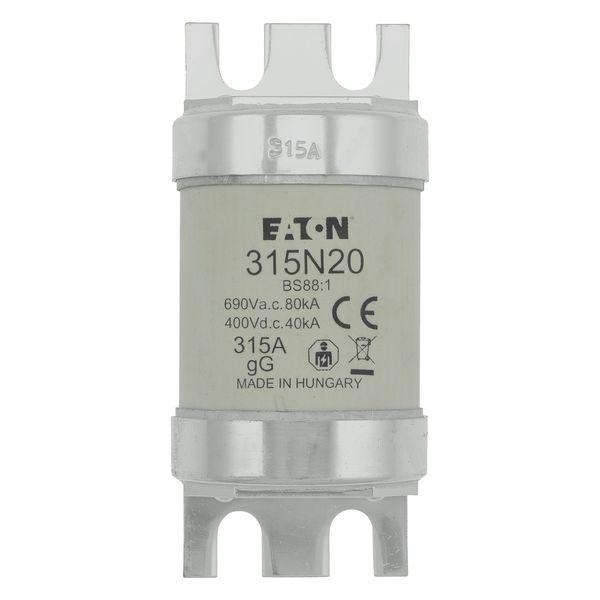 Fuse-link, low voltage, 315 A, AC 660 V, BS88, 49 x 110 mm, gL/gG, BS image 28