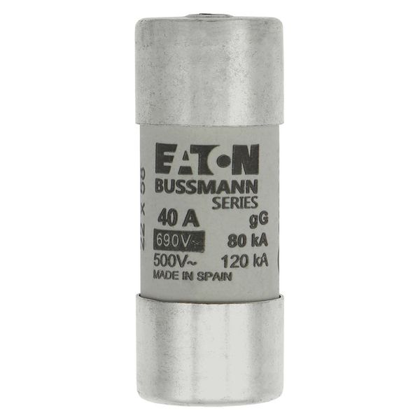 Fuse-link, LV, 40 A, AC 690 V, 22 x 58 mm, gL/gG, IEC, with striker image 6