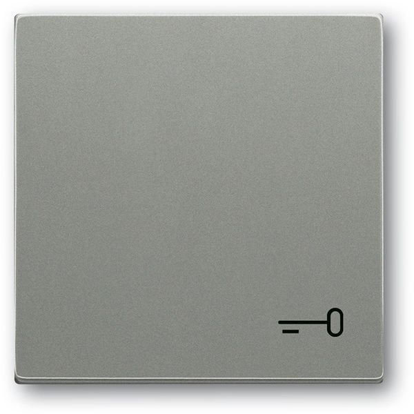 2520 TR-803 CoverPlates (partly incl. Insert) Busch-axcent®, solo® grey metallic image 1