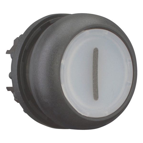 Illuminated pushbutton actuator, RMQ-Titan, Flush, momentary, White, inscribed 1, Bezel: black image 8