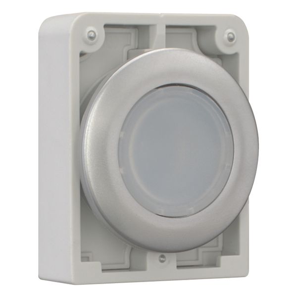 Illuminated pushbutton actuator, RMQ-Titan, Flat, momentary, White, Blank, Metal bezel image 7
