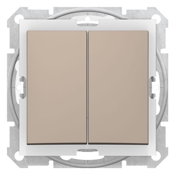 Sedna - 1pole 2-circuits switch - 10AX IP44 without frame titanium image 1