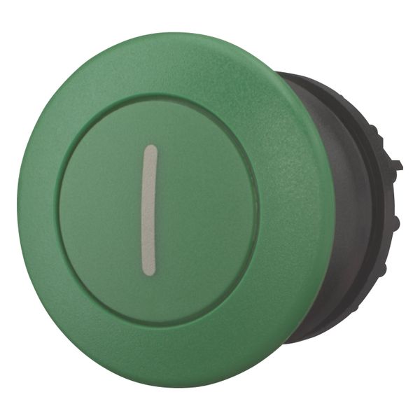 Mushroom actuator, RMQ-Titan, Mushroom, maintained, Mushroom green, green, inscribed, Bezel: black image 8