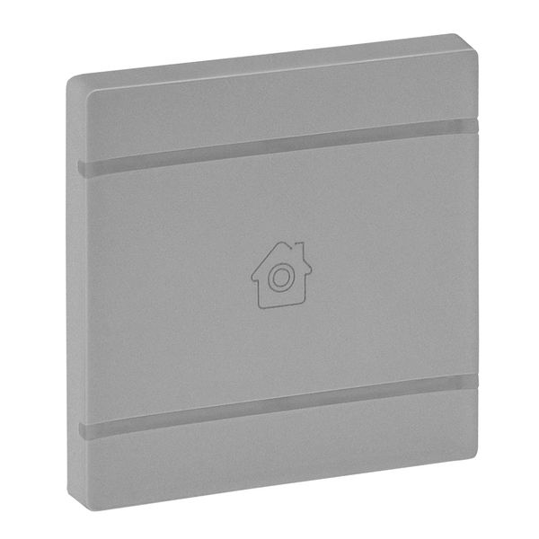 Cover plate Valena Life - GEN marking - 2 modules - aluminium image 1