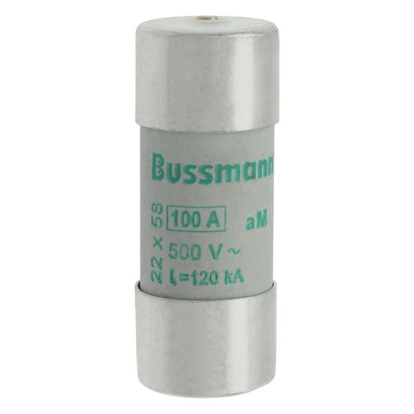 Fuse-link, LV, 100 A, AC 500 V, 22 x 58 mm, aM, IEC, with striker image 9