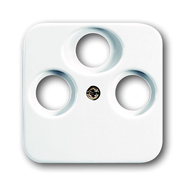 1743-03-214 CoverPlates (partly incl. Insert) carat® Alpine white image 1