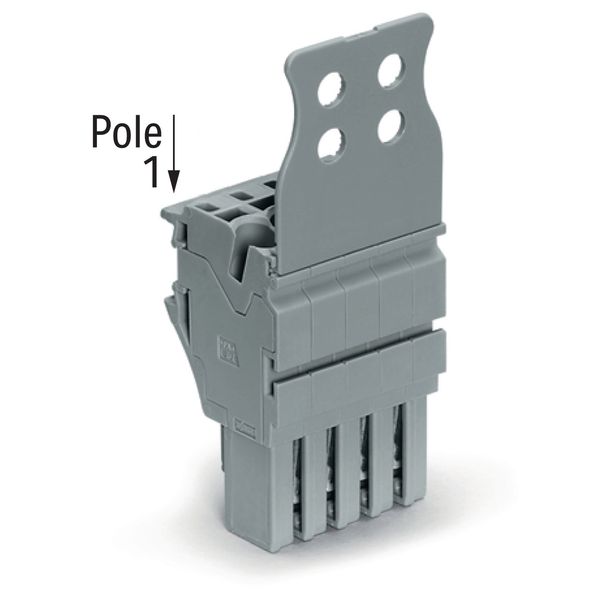 1-conductor female connector Push-in CAGE CLAMP® 4 mm² blue image 1