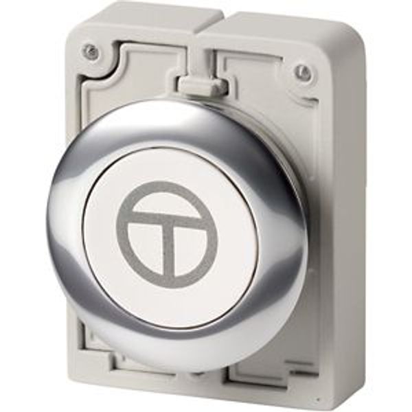 Pushbutton, RMQ-Titan, Flat, momentary, White, inscribed, Metal bezel, ON/OFF image 1