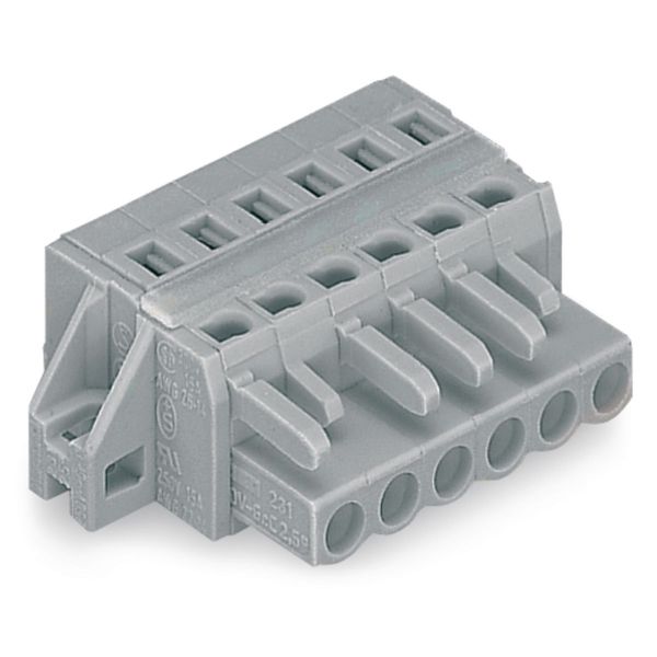 1-conductor female connector CAGE CLAMP® 2.5 mm² gray image 1