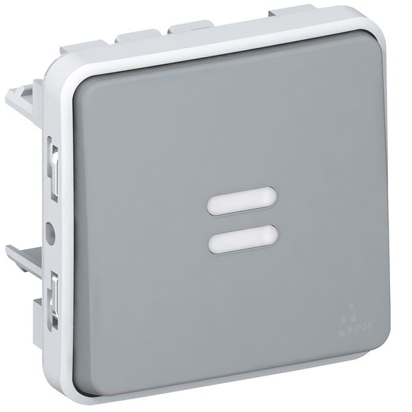 Switch Plexo IP 55 - 2-way with indicator - 10 AX - 250 V~  - modular - grey image 1