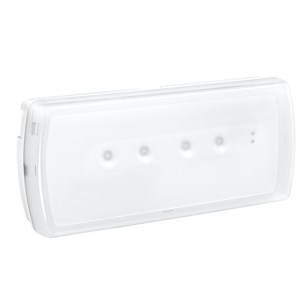 Emergency luminaire U21 - std maintained / non maintained - 100 lm - 3h - LED image 1