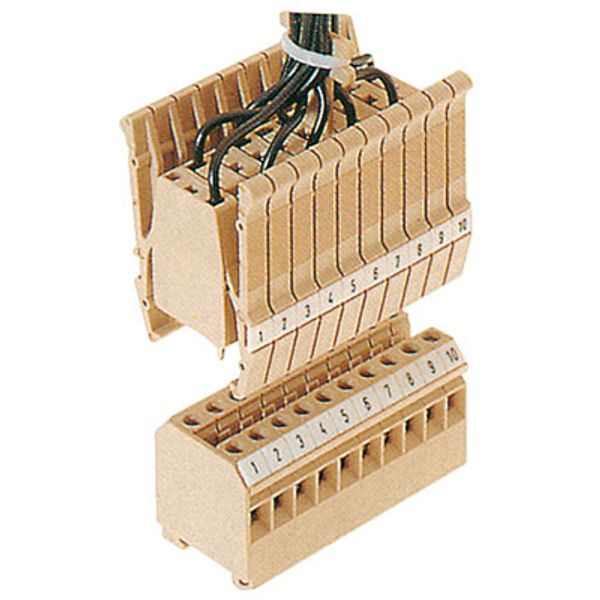 Feed-through terminal block, Screw connection, 4 mm², 400 V, 32 A, Num image 1