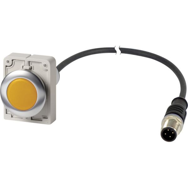 Indicator light, Flat, Cable (black) with M12A plug, 4 pole, 1 m, Lens yellow, LED white, 24 V AC/DC image 4